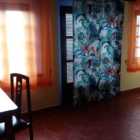 Sunshine Apartment At Tropical Coast Of Granada Almunecar Bagian luar foto
