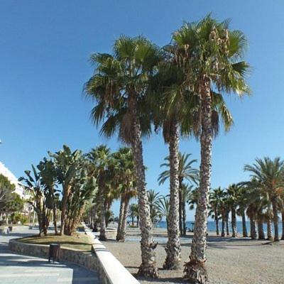 Sunshine Apartment At Tropical Coast Of Granada Almunecar Bagian luar foto